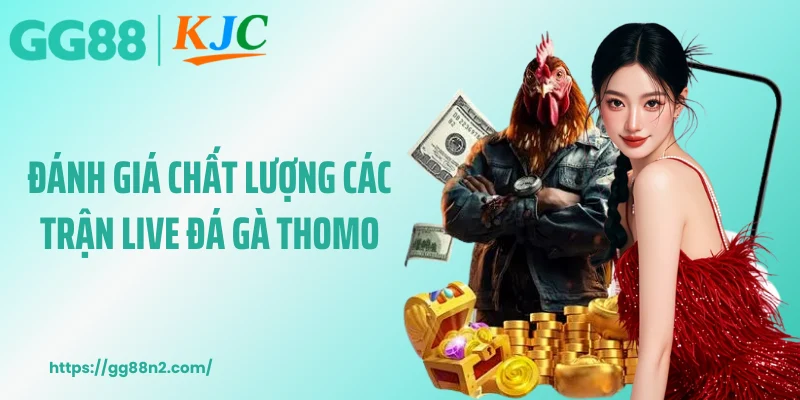Đánh giá chất lượng các trận live đá gà thomo